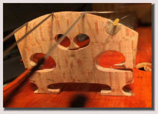 acousticaladjustment004002.gif