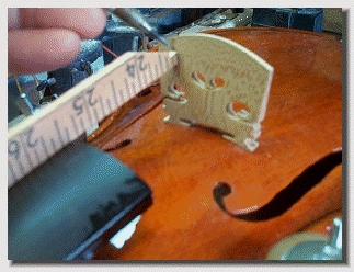 acousticaladjustment013013.gif