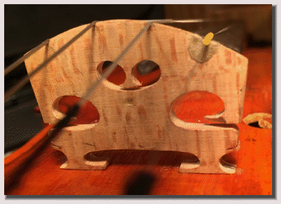 acousticaladjustment046009.gif