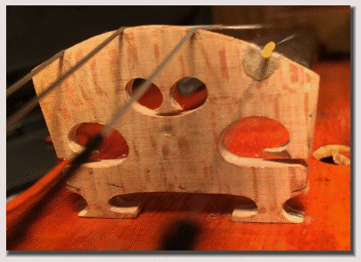 acousticaladjustment046027.gif