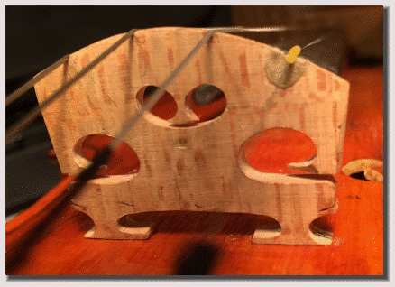 acousticaladjustment046033.gif