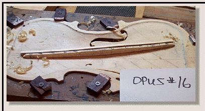 opus16construction053010.gif