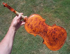 violin005002.jpg