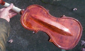 violin019012.jpg