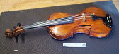 violin019019.jpg