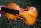 violin019024.jpg