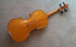 violin019034.jpg