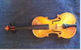 violin019036.jpg