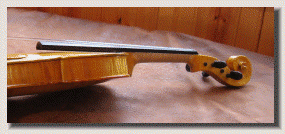 violin104003.gif