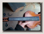 violin104018.gif