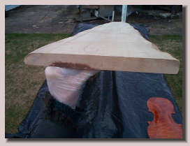 violinwood003009.jpg