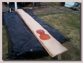 violinwood003010.jpg